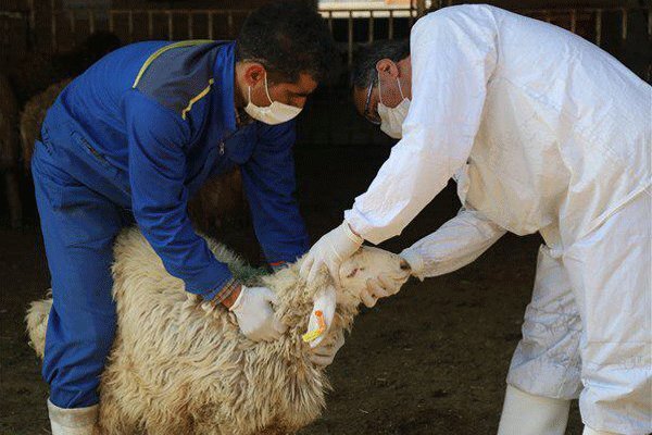 مشاهده جزئیات